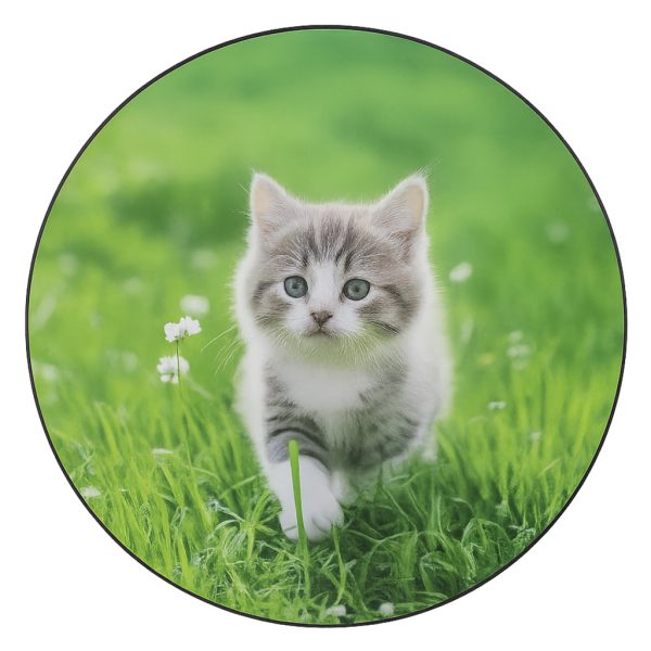 KDT007439_Reloj Digital LED Planetas en Caja_PTQ1276_2 KDT007439_Reloj Digital LED Planetas en Caja_PTQ1276_2